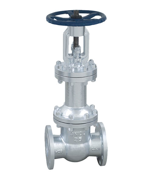 國(guó)標(biāo)波紋管閘閥